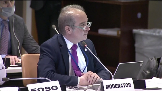 Food System Transformations as 2030 Agenda Accelerators. UN Food Systems Summit follow-up event contributing to the HLPF