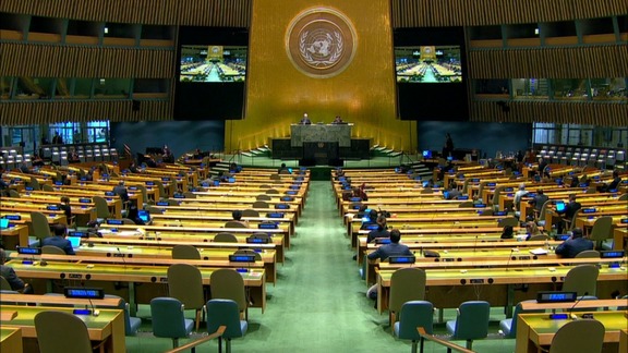 53rd Plenary Meeting - General Assembly 75th Session