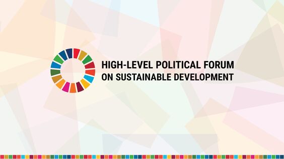 (1st meeting) High-Level Political Forum 2025