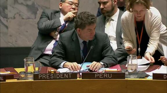 8228th Security Council Meeting: Situation in Middle East