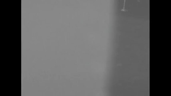 877th Plenary Meeting of General Assembly: 15th Session - Part 4