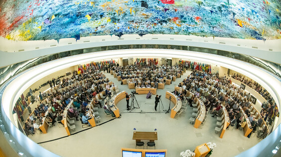 Closing of the 113th Session of the International Labour Conference (recording)