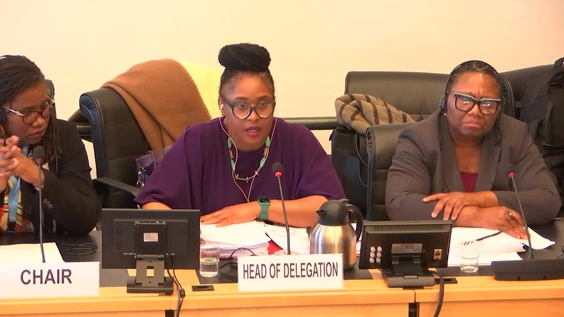 596th Meeting, 40th Session, Committee on Migrant Workers (CMW)