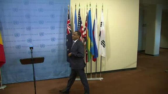 Security Council President on the situation in Gambia