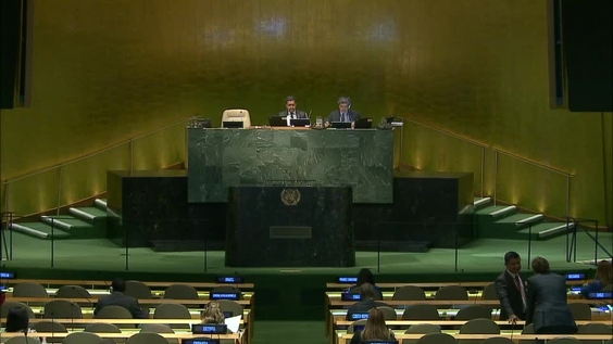 General Assembly, 95th plenary meeting, 71st session