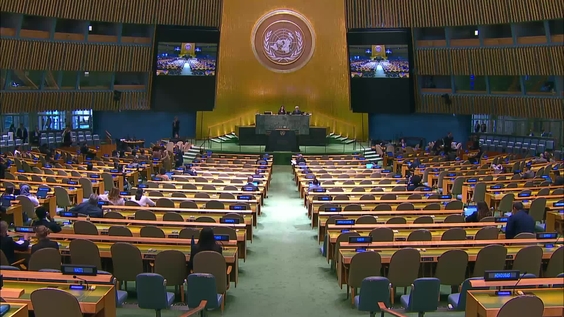 General Assembly: 84th plenary meeting, 80th session
