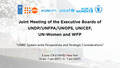Joint Meeting of the Boards -UNDP/UNFPA/UNOPS, UNICEF, UN Women and WFP
