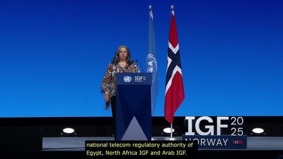 Multistakeholder digital governance beyond 2025, IGF 2025
