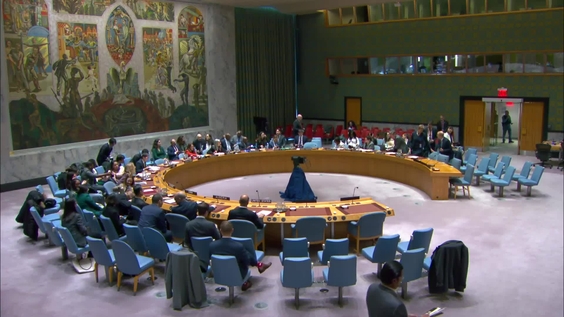La situación en Myanmar - Consejo de Seguridad, 9595ª sesión