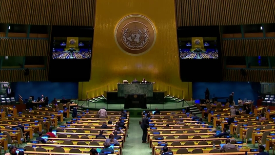 General Assembly: Tenth emergency special session (resumed), 43rd plenary meeting.