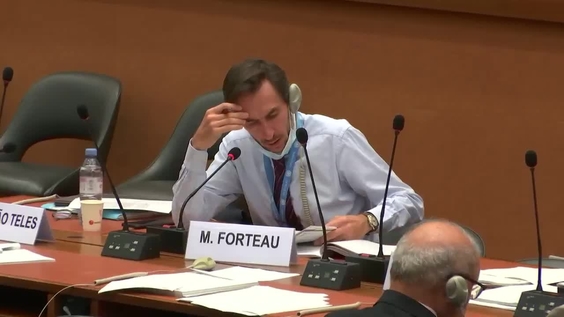 3603rd Meeting, 73rd session of the International Law Commission