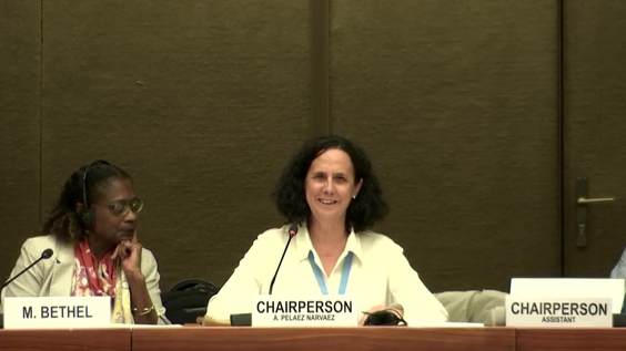 2117th Meeting, 89th Session, Committee on the Elimination of Discrimination against Women (CEDAW)