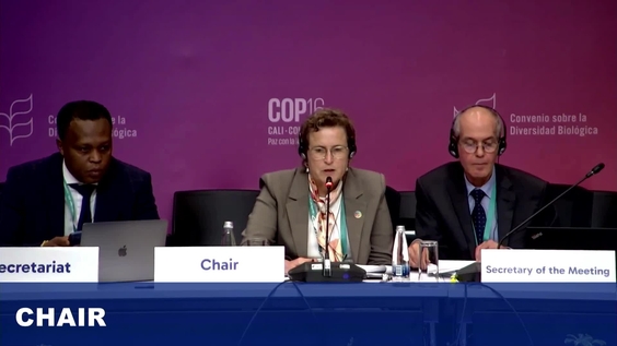 Working Group 1 (4th meeting) at COP16 – United Nations Biodiversity Conference 2024