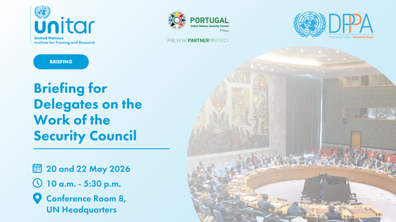 (Session 4) Broader Engagement and Opportunities - Briefing for Delegates on the Work of the United Nations Security Council