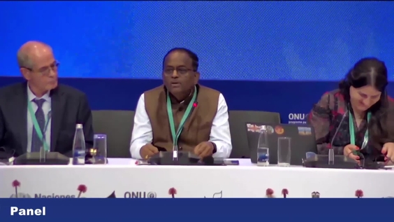 SBI-5: Plenary 4 at COP16 – United Nations Biodiversity Conference 2024