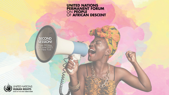(6th meeting) 2nd Session of the Permanent Forum on People of African Descent - Thematic Discussion: Health, Well-Being, and Intergenerational Trauma