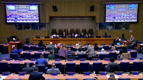 (8th meeting) 58th session of the Commission on Population and Development, CPD58