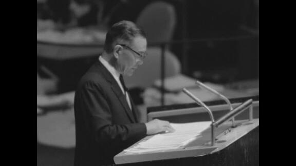 1339th Plenary Meeting of General Assembly: 20th Session - Part 1