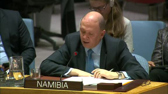 8449th Security Council Meeting: Situation in Middle East Part 2