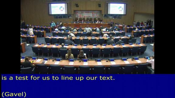 High-Level Political Forum on Sustainable Development - 3rd Meeting