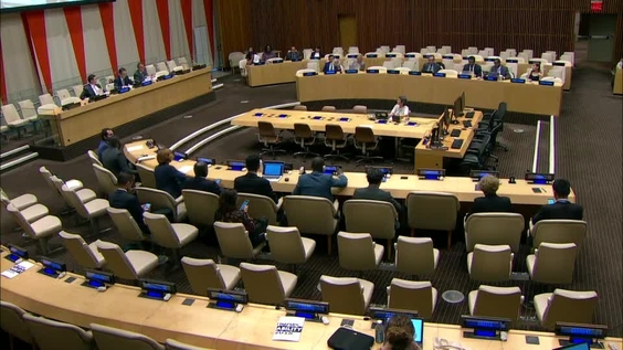 (10th Meeting) Executive Board of UNDP, UNFPA and UNOPS -  Annual session 2019 (30 May, 3-4 and 6-7 June)