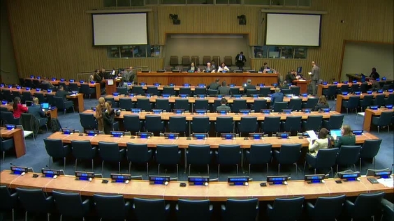 Fourth Committee, 19th meeting - General Assembly, 74th session