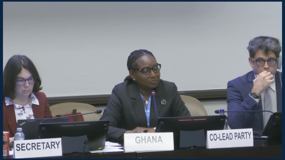 2nd Session, 21st meeting of the WG on Integrated Water Resources Management
