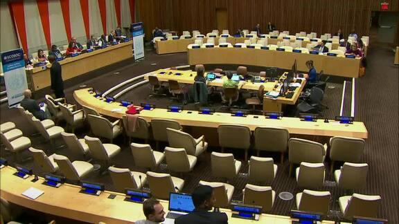 33rd Plenary Meeting of Economic and Social Council 2018 Session