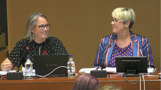 2096th Meeting, 89th Session, Committee on the Elimination of Discrimination against Women (CEDAW)