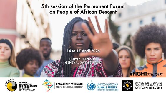 3rd Meeting, 5th session of the Permanent Forum on People of African Descent