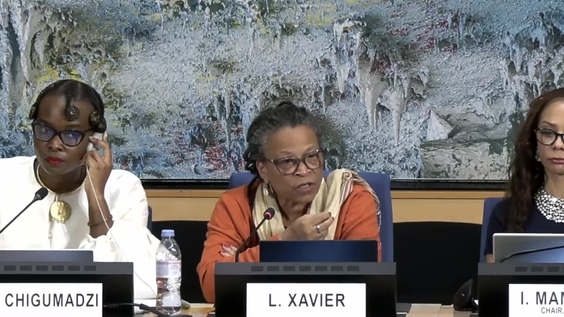 3rd Meeting, 5th session of the Permanent Forum on People of African Descent