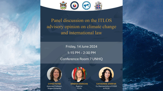 Panel Discussion on ITLOS Advisory Opinion on Climate Change and International Law