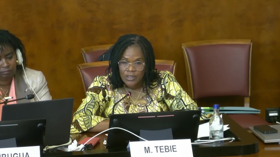 4th Meeting, 11th Session GIEE on the Implementation of the Durban Declaration
