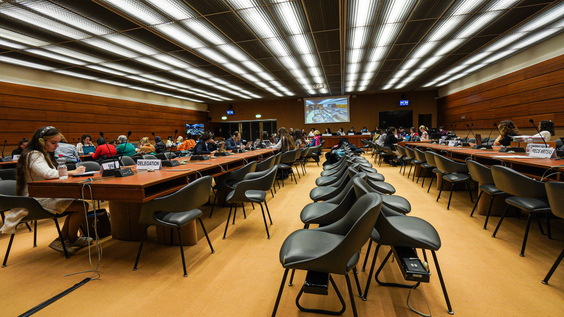 2091st Meeting, 89th Session, Committee on the Elimination of Discrimination against Women (CEDAW)