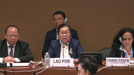 2091st Meeting, 89th Session, Committee on the Elimination of Discrimination against Women (CEDAW)