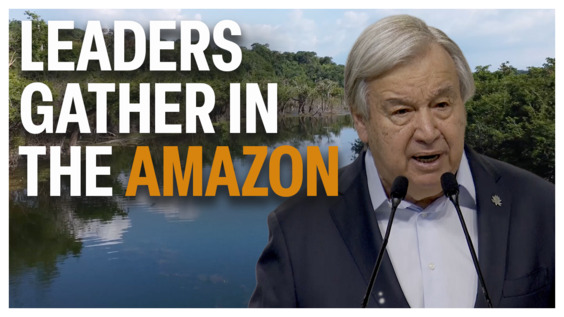 Leaders Gather in the Amazon Ahead of COP30
