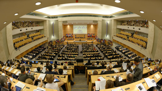 ILO 110th International Labour Conference: Plenary debates – Morning sitting