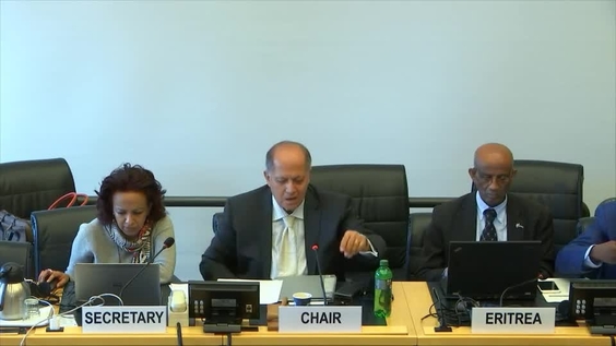 Consideration of Eritrea - 3582nd Meeting 125th Session of Human Rights Committee