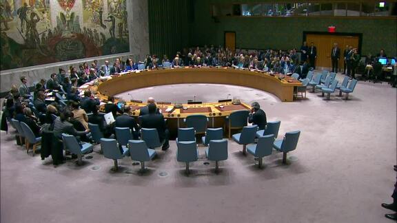 Situation in Middle East - 8717th Security Council Meeting