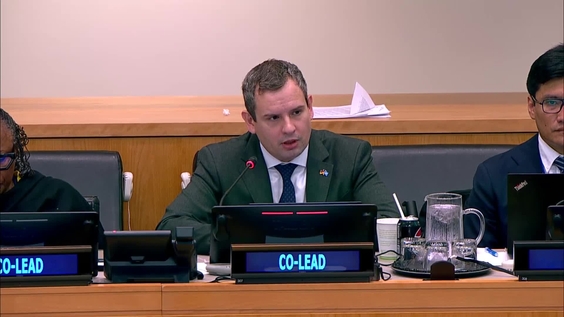 (17th meeting) - Fifth Session of the Intergovernmental Negotiating Committee on the UN Framework Convention on International Tax Cooperation (INC Tax) - 3 to 13 August 2026