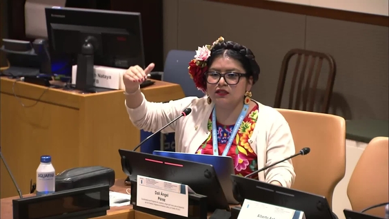 The role of electoral justice in the self-determination of indigenous peoples and empowerment of their youth: A comparative approach (UNPFII Side Event)