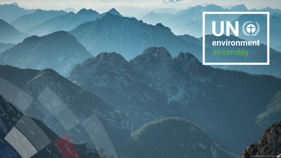 4th Plenary: National Statements (Continued) | UNEA-7