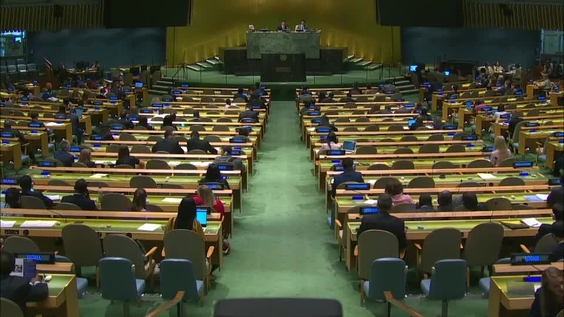 Third Committee, 56th meeting - General Assembly, 73rd session