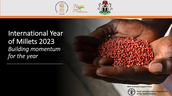 International Year of Millets 2023 - Building momentum for the year