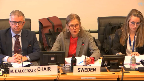 3173rd Meeting, 116th Session, Committee on the Elimination of Racial Discrimination (CERD)