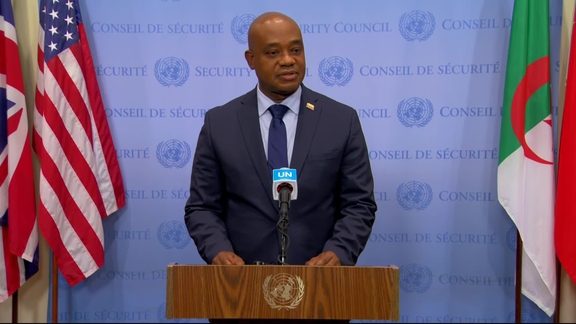 Luis Gilberto Murillo (Colombia) on the situation in the Country other topics - Security Council Media Stakeout