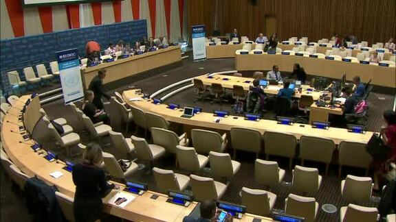 Economic and Social Council: 2017 Integration Segment, 27th Meeting