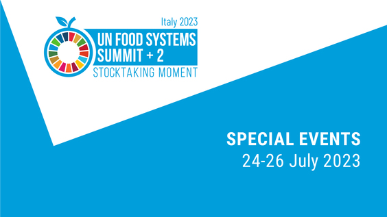 联合国粮食体系峰会+2阶段成果总结推进大会：特别会议 - 第3天上午