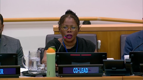 Intergovernmental Negotiating Committee on the United Nations Framework Convention on International Tax Cooperation - Second Substantive Session 2025, 7th meeting