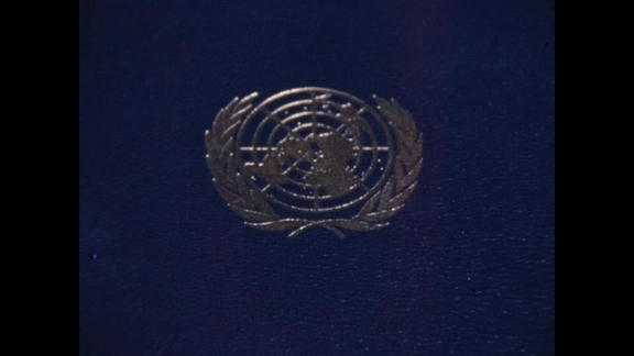 UN Charter 